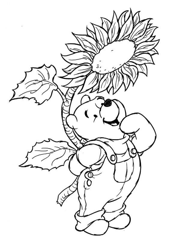 Disney-Cartoons-Winnie-The-Pooh-Coloring-Pictures