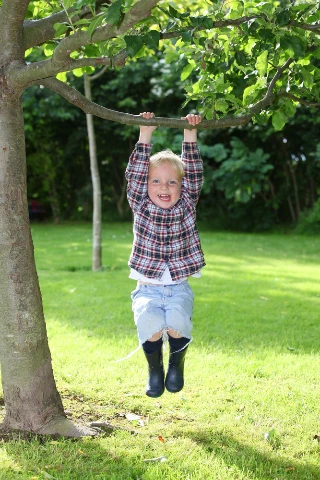 Παιδί που κρέμεται από δέντρο