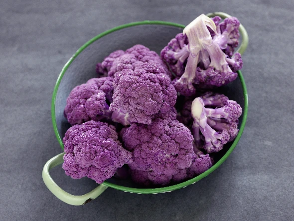 shutterstock 84493333