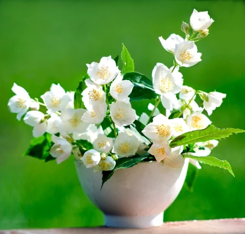 Depositphotos 1823353_s