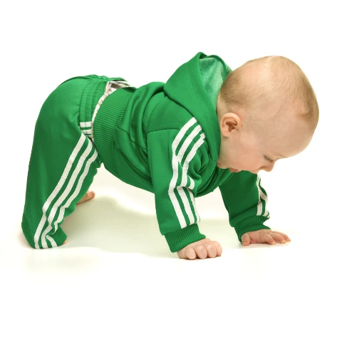 Το μπουσούλημα της αρκούδας