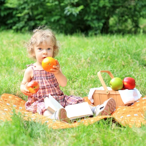 Πικνικ με νήπιο