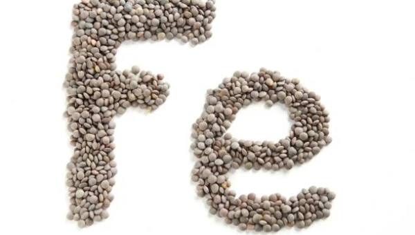 Για παιδιά... σιδερένια!