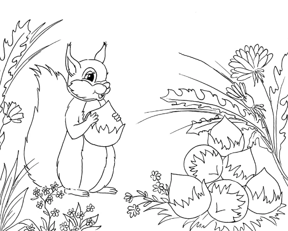 Ζωγραφική- Σκίουρος