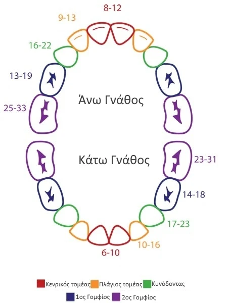 xronodiagramma-dontiwn
