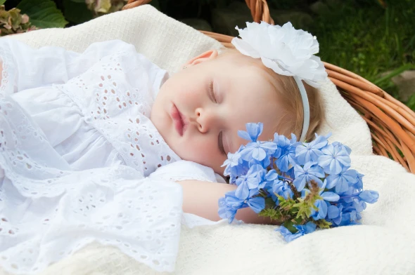 shutterstock 82288504