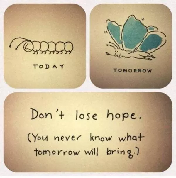 sunexise-tin-prospatheia