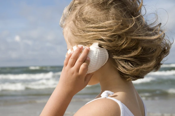 Ακούστε τα κύματα μέσα στα κοχύλια