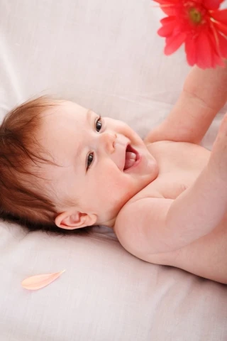 shutterstock 75635863